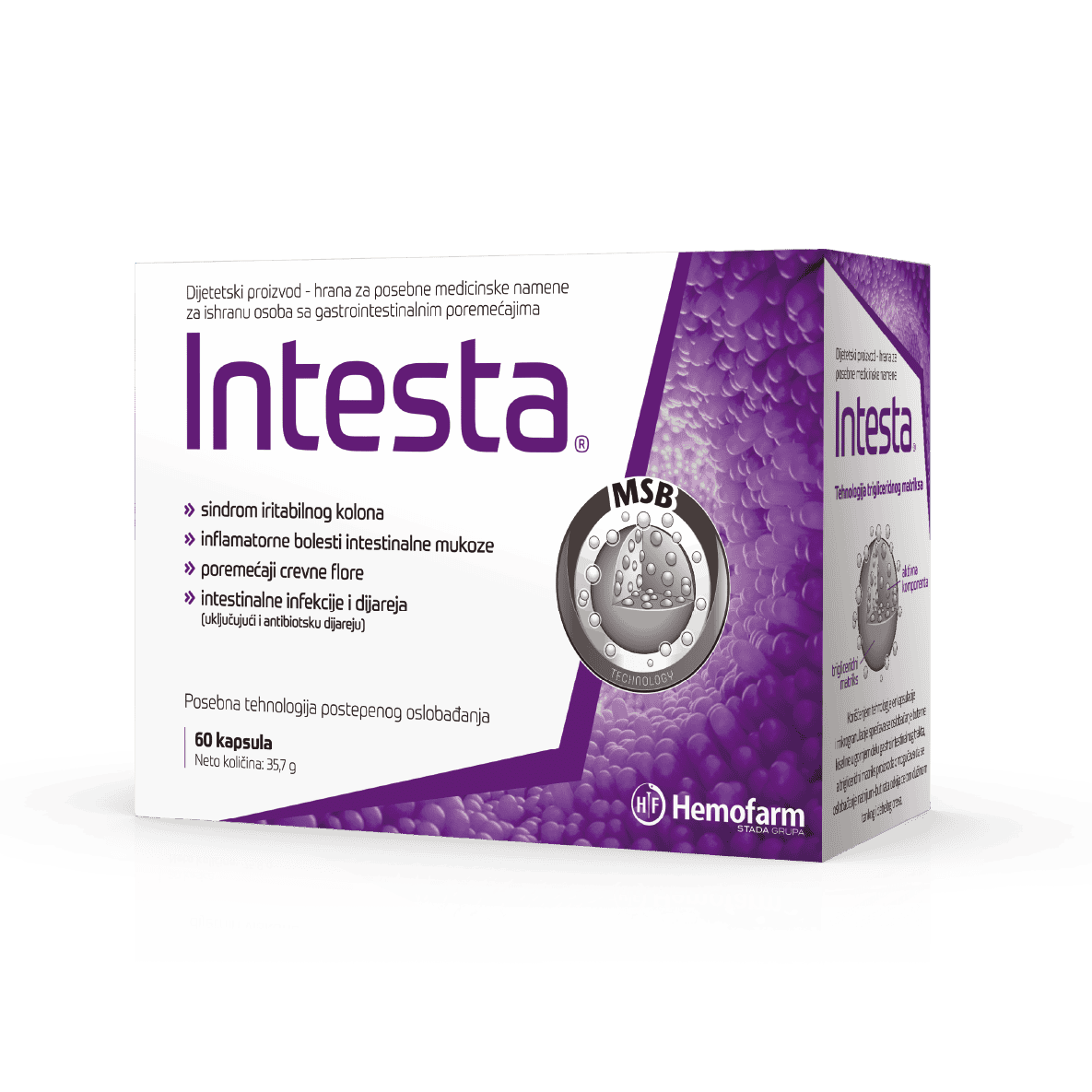 Intesta-e1694096114169.png